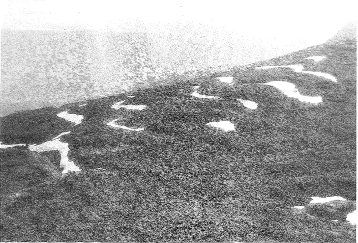 Fig.  8  Juobmotjåkkås östra utlöpare övertväras av rännor som skurits ut av isälvar från den sammansjun- sammansjun-kande inlandsisen