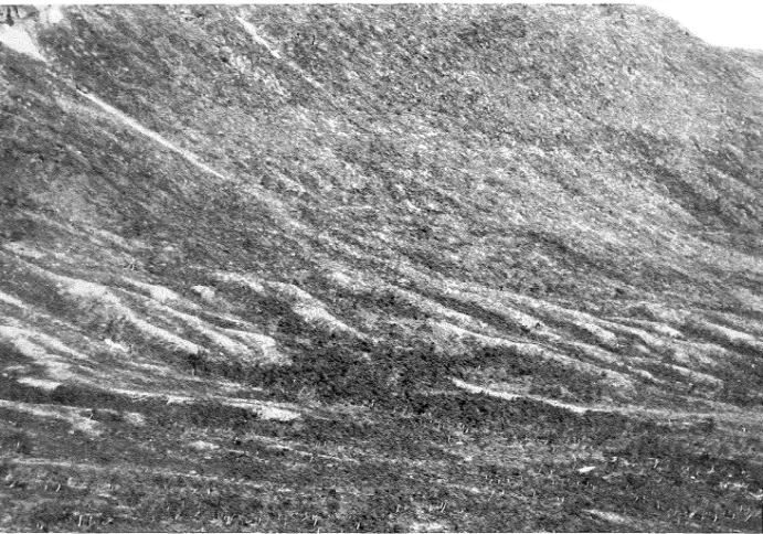 Fig.  12  Vid  Juobmotjåkkås fot  har inlandsisens  smältvatten byggt  upp  en  hel  serie  av  slukåsar