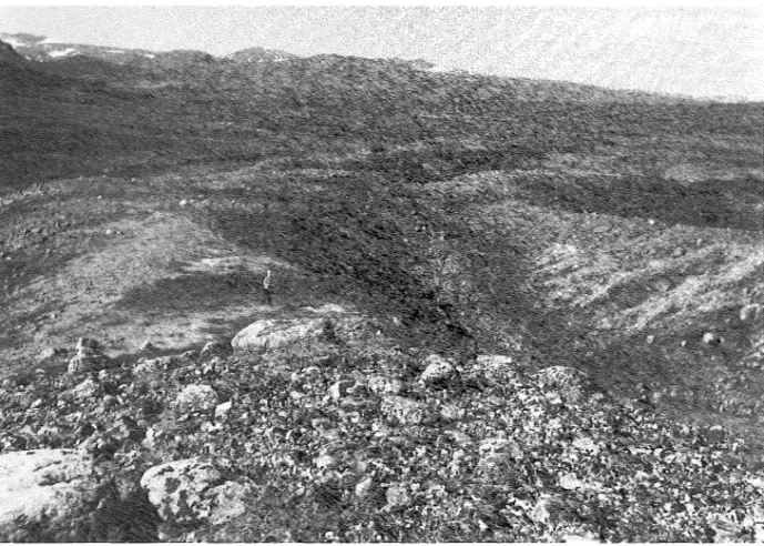 Fig.  13  En mäktig isälv söderifrån har i Autsutjvagge byggt upp ett mindre kameslandskap med kullar och  dödishål (i  förgrunden)  och den stora Pietsaure-sandurn (i  bakgrunden)