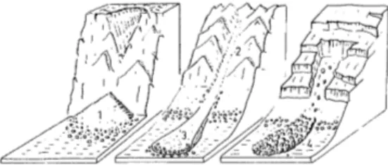 Fig  3:  Olika  typer av  sluttningsformer (efter Rapp  1959) 