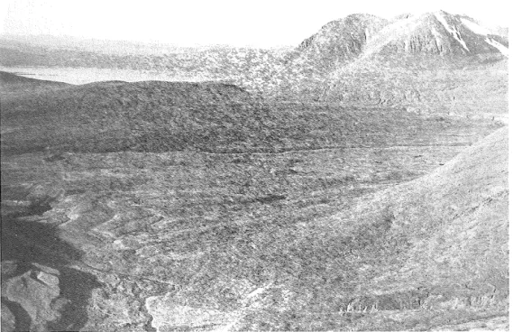 Fig  10:  Långa drumlins vid Sjnjuftstjutis väster om Akka.  Lägg även märke till  slukåsarna vid Sjnjuftstju- Sjnjuftstju-tisjåkkå