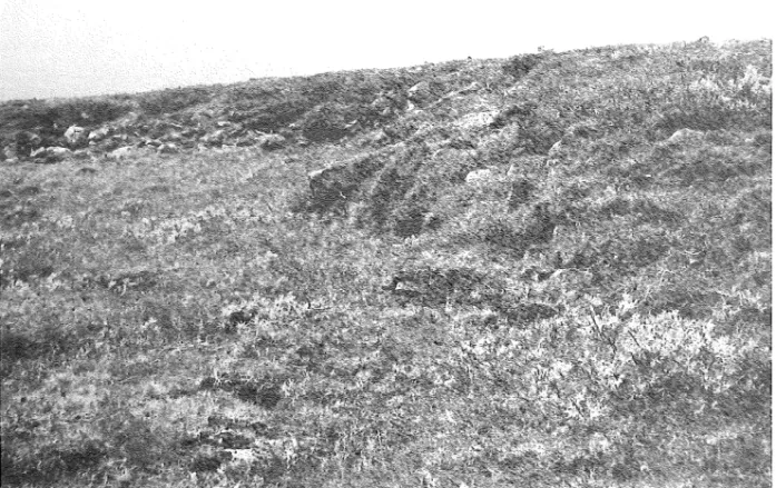 Fig  13:  Exempel  på  en jordflytningsvalk  i  Kvikkjokksfjällen.  Solijluction  lobe  in  the  mountains  close  to  Kvikkjokk