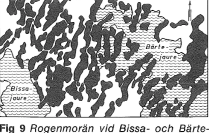 Fig  9  Rogenmorän  vid  Bissa- och  Bärte- Bärte-jaure 