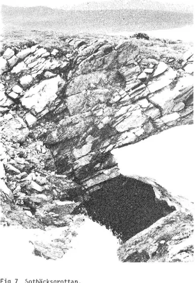 Fig  7  Sotbäcksgrottan. 