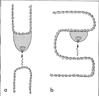 Fig  5  Två  modeller  för  glacifluvial  deltabildning  (se förklaring i texten). 