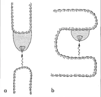 Fig  5  Två  modeller  för  glacifluvial  deltabildning  (se förklaring i texten). 