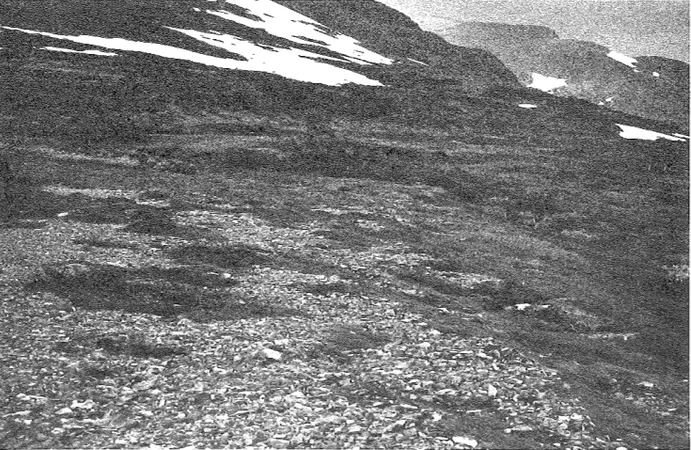 Fig  14  Issjöstrandlinjen på Snasahögarnas östra sida bildar ett brett terrassplan öster om Tväråklumpar- Tväråklumpar-na