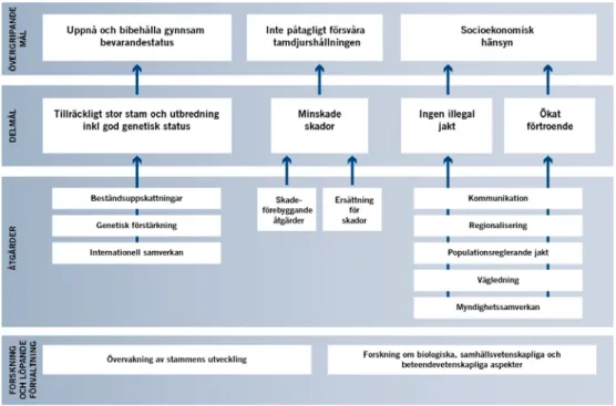 Figur 1. Schematisk bild över hur rovdjursförvaltningens åtgärder kopplar till mål och delmål.