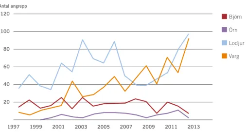 Figur 8. Antal angreppstillfällen på får under perioden 1997–2013 orsakade av björn, örn, lodjur 