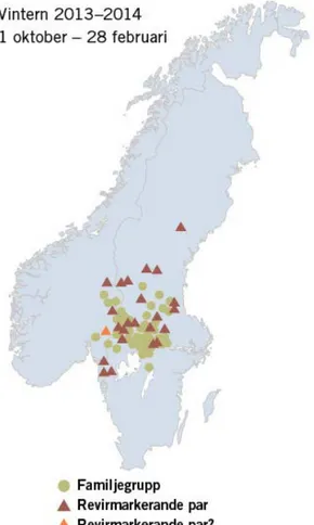 Figur 4. Familjegrupper och revirmarkerande vargpar i Skandinavien säsongen 2013/2014