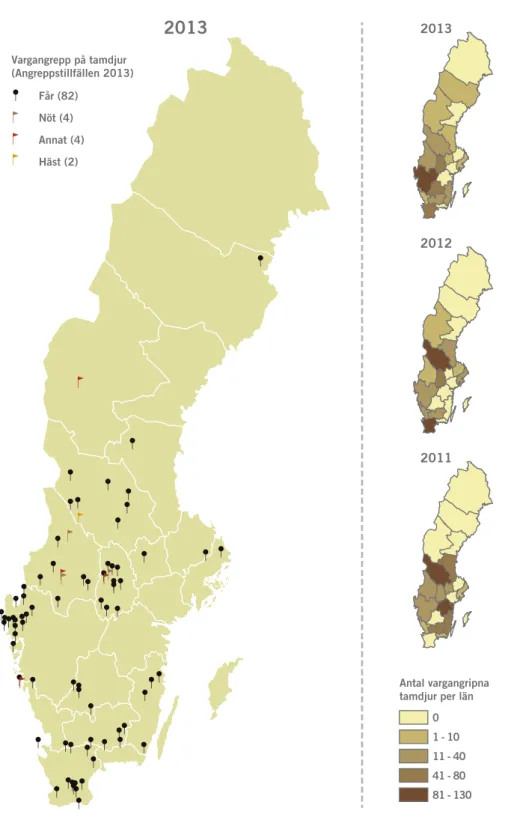 Figur 5. Antal tillfällen då varg angrep tamdjur (exklusive renar och hundar) år 2013 (stora kartan),  samt en grafisk sammanställning av antalet angripna djur per län under perioden 2011–2013