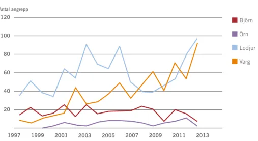 Figur 7. Antal rovdjursangripna hundar i Sverige, fördelat på år och angripande art under perioden  1998–2013