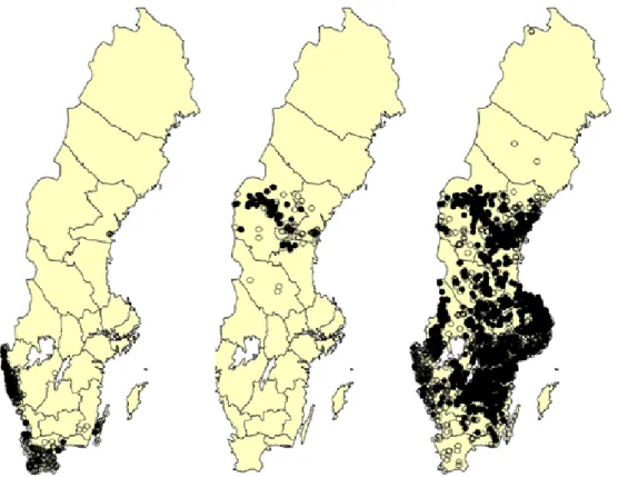 Figur 18. Variation i populationsstorlek mellan år i en 10 m 2  lieslagen yta (Bengt Stridh, opubl.)