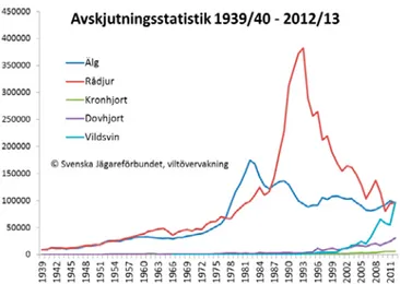 Figur 2. Avskjutningsstatistik 1939/40 – 2012/13. Svenska Jägarförbundet.   Källa: Svenska Jägarförbundets hemsida (2015b).