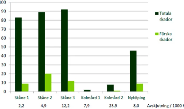 Figur 11. Diagram över andel (%) skadade stammar i sex olika studieområden. Mörka staplar: totala  skador (gamla + färska)