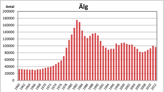 Fig. 1. Avskjutningsstatistik för älg under perioden 1960/1961 – 2012/2013 (Svenska  Jägareförbundets viltövervakning, 2013a).