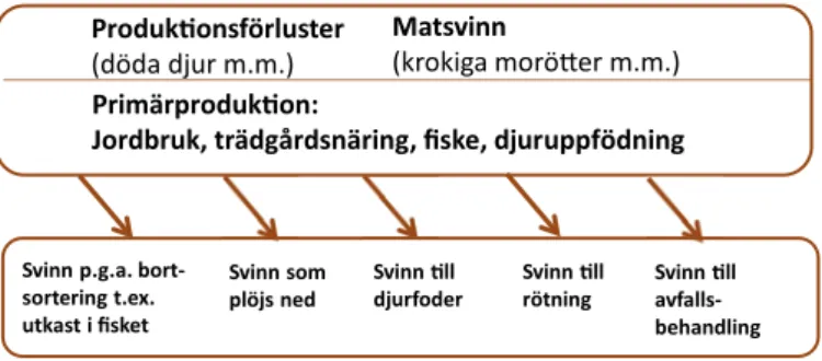 Figur 4. Produktionssvinn i primärproduktion. Modifierad efter Naturvårdsverket, (2013)