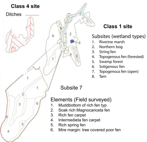 Figure 3. Two examples of sites surveyed in VMI. The upper left part shows a severely impacted  class 4 sites that is not further divided into sub-sites