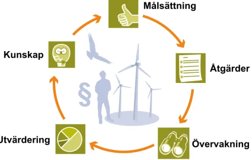 Figur 1. Schematisk bild över den adaptiva förvaltningen.