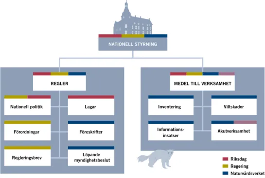 Figur 3. Nationell styrning i rovdjursförvaltningen.