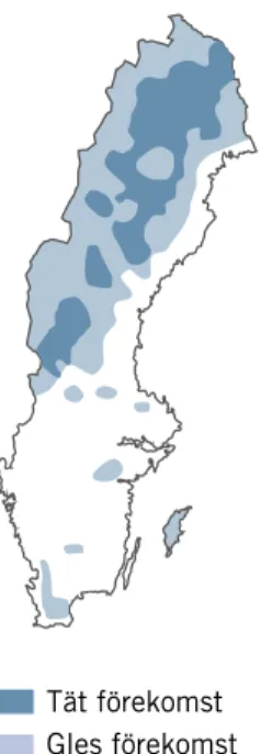 Figur 5. Kungsörnsstammens utbredning i Sverige. (Källa: Kungsörn Sverige).