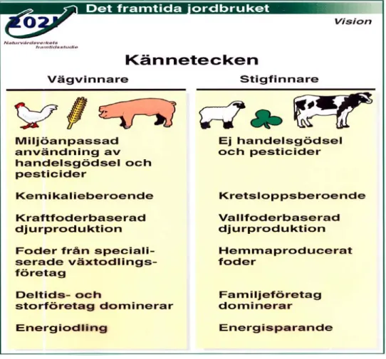 Figur 1. De båda framtidsvisionernas kännetecken.