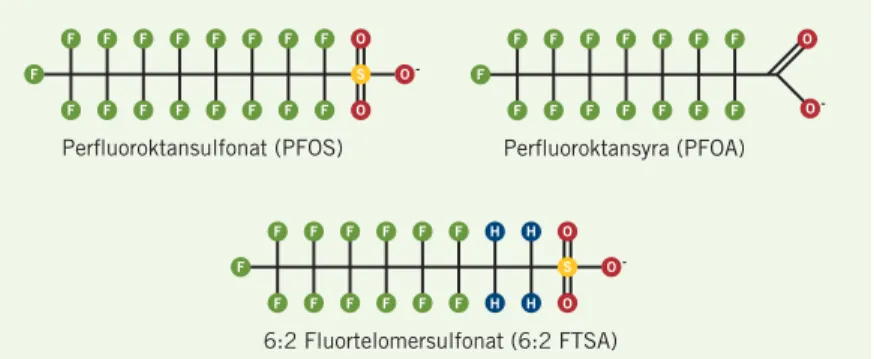 FIGUR 1.  De per- och polyfluorerade ämnena, PFAS, består av kolkedjor som är helt  (per-) eller delvis (poly-) fluorerade