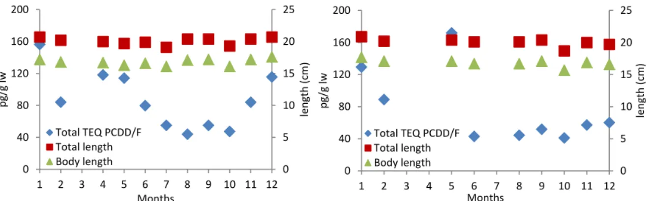 Figure 9. TEQ PCDD/F  (l.w. basis), body length and total length for the southern (left) and northern (right) Bothnian  Sea sites over the 12 months data were collected