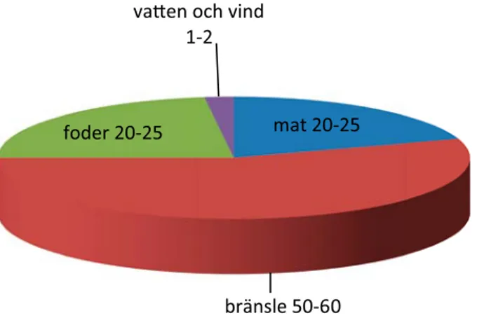 Figur 2. Ungefärlig fördelning av energibärare i det förindustriella Europa, procent (Malanima 2013).