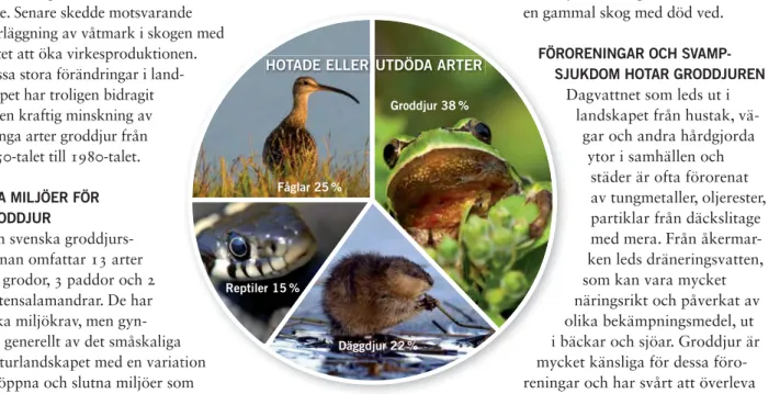 TABELL 1.  Förändring av hotstatus 1977–2010 för svenska groddjur. Status 1977 och 1988 är uppskattningar efter dåtida kunskapsläge