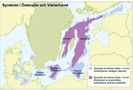 Figur 1. I de djupaste delarna av Egentliga Östersjön är syrebristen näst intill permanent
