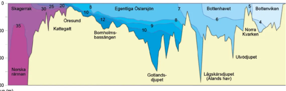 Figur 3. Profil av Östersjöns bottentopografi och salthalt på olika djup, inklusive Skagerrak och  Kattegatt
