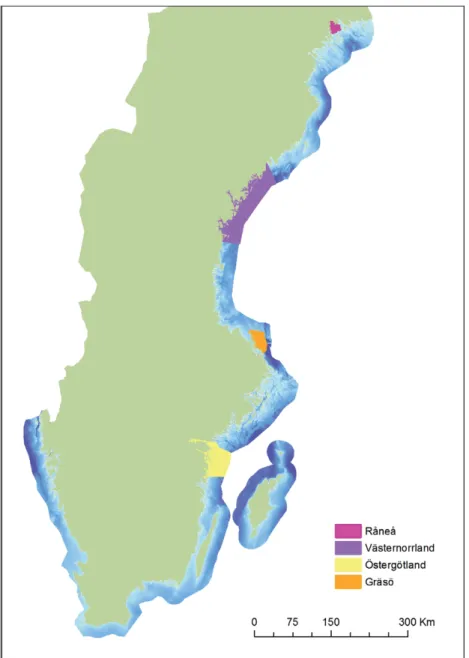 Figur 1. Bilden visar djupmodellen från sjökortsdata i blått överlagrad med de områden  där mer detaljerade djupmodeller finns tillgängliga