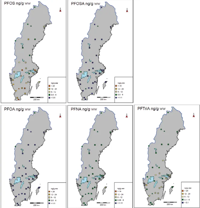 Figure 5. Spatial variation of PFOS, PFOSA, PFOA, PFNA and PFTrDA (PFTriA). The squares represents the  concentration interval of average measured concentrations in fish liver between 2007-2008 from lakes within  the Swedish national monitoring programme