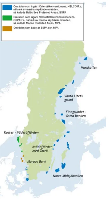 Figur 2: Bilden visar samtliga BSPA-och MPA-områden i Sverige vid den senaste utvidgningen 2009.