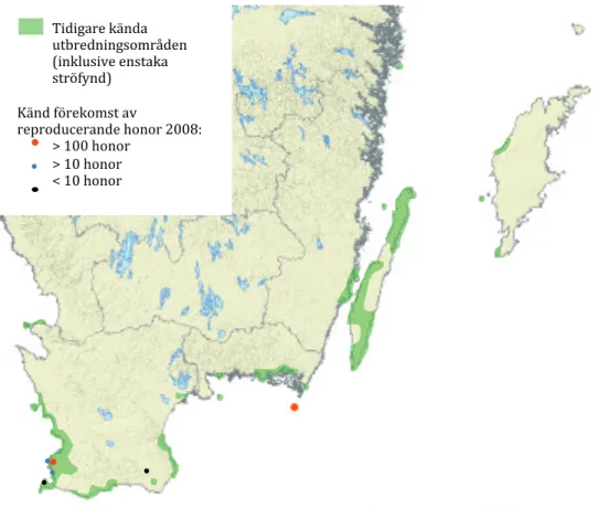 Figur 2. tidigare och nutida (2008) utbredning av grönfl äckig padda (Bufo viridis) i sverige