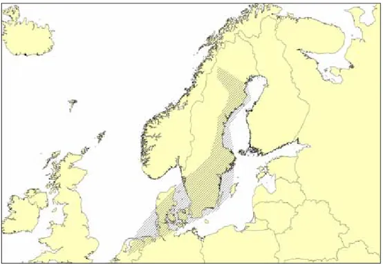 Figur 4. schematisk bild över de svenska fjällgässens flyttväg mellan sverige och  