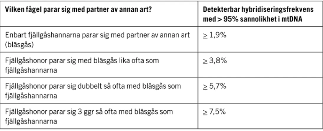 Tabell 1. lägsta frekvens av hybridisering mellan fjällgås och bläsgås som kan upptäckas med  