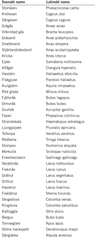 Tabell 5.4. Fågelarter som hittats döda under vindkraftverk i sverige till och med januari 2010  (ahlén 2010b)