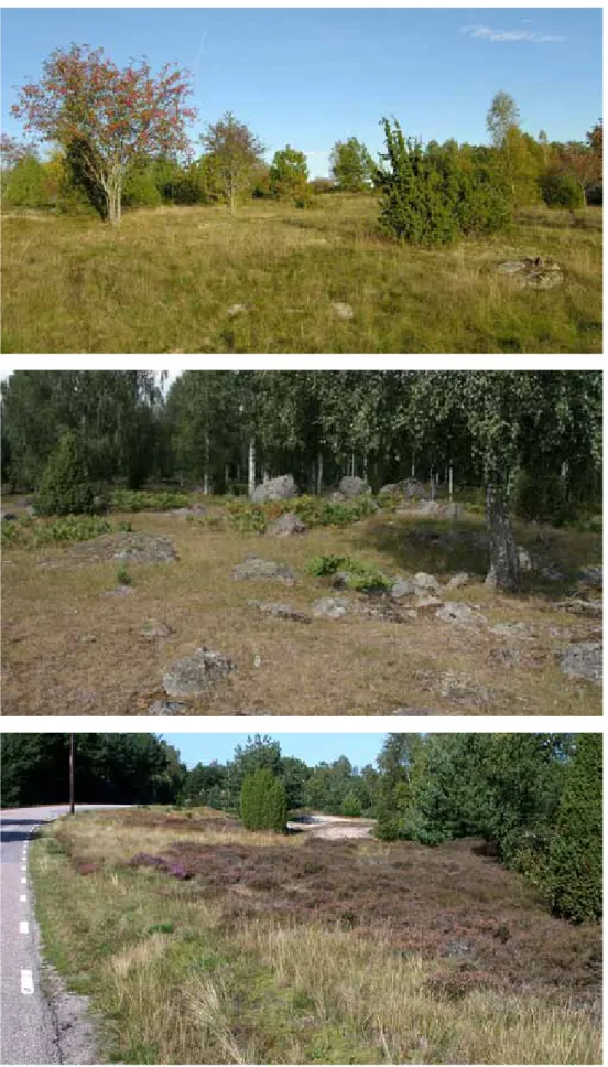 Figur 3. Miljöbilder från tre olika lokaler. Överst: Fröberga-Selaön, den nordligaste lokalen i Söder-