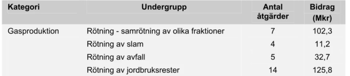 Tabell 3: Tabell över alla kategorier och undergrupper. 