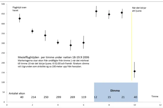 Figur 8. Småfågelsträckets medelflyghöjder timme för timme under natten18–19 september,  2006 då en dimma upp till höjden 100 meter ovan havsytan börjar förekomma vid kl