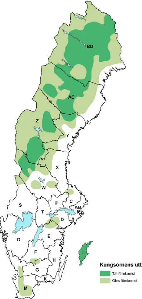Figur 3. utbredning av häckande kungsörn i sverige 2010. Ljusare färg visar glesare förekomst