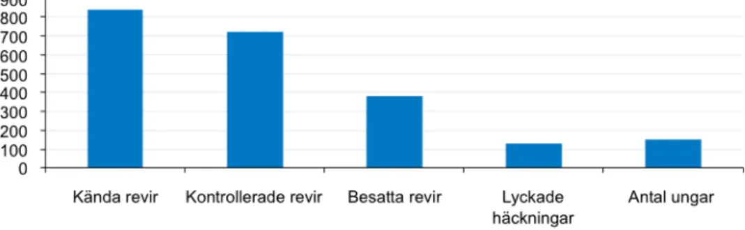 Figur 4. diagrammet visar relationen mellan antalet revir, besatta revir, lyckade häckningar och ungar 