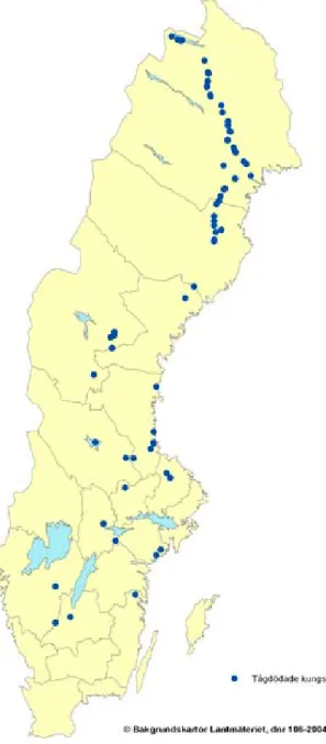 Figur 8. rapporterade tågdödade 