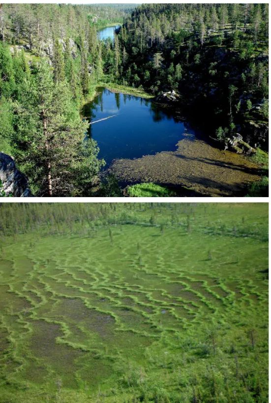 Figur 5 a och B. Häckningsbiotoper för pilgrimsfalk i norrbotten – de vanligaste är klippbranter, 