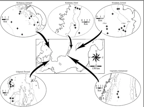 Figur 1. Karta över de undersökta områdena i Kattegatt, Södra och Centrala Östersjön.