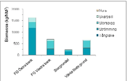 Figur 8. Artsammansättning baserat på biomassa (kg/kvadratsjömil) på utsjöbankar enligt den  hydroakustiska undersökningen i Bottenhavet april 2009