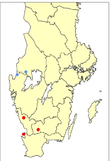 Figur 2. Svenska förekomster av flytsvalting. Röda cirklar visar aktuella förekomstområden, blå  cirklar visar äldre förekomster där arten ej finns idag.