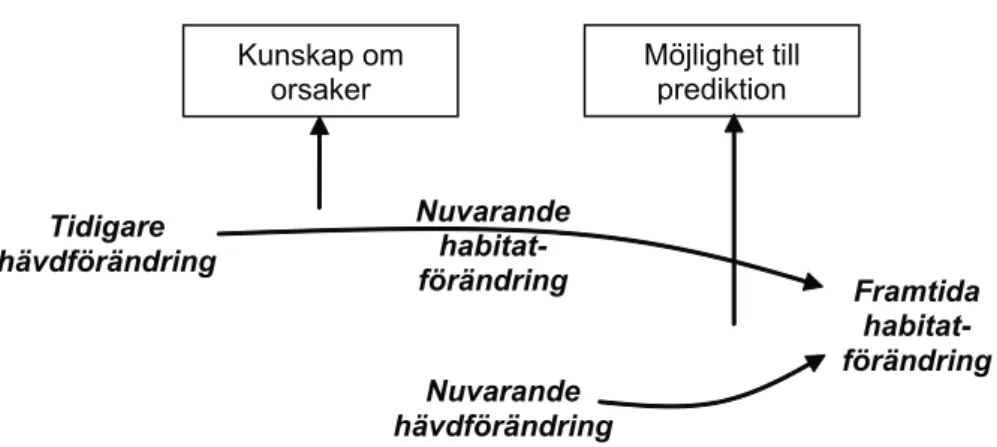 Figur 4. Hur kunskap om fördröjd respons kan användas för att förstå orsaker respektive för predik- predik-tion.